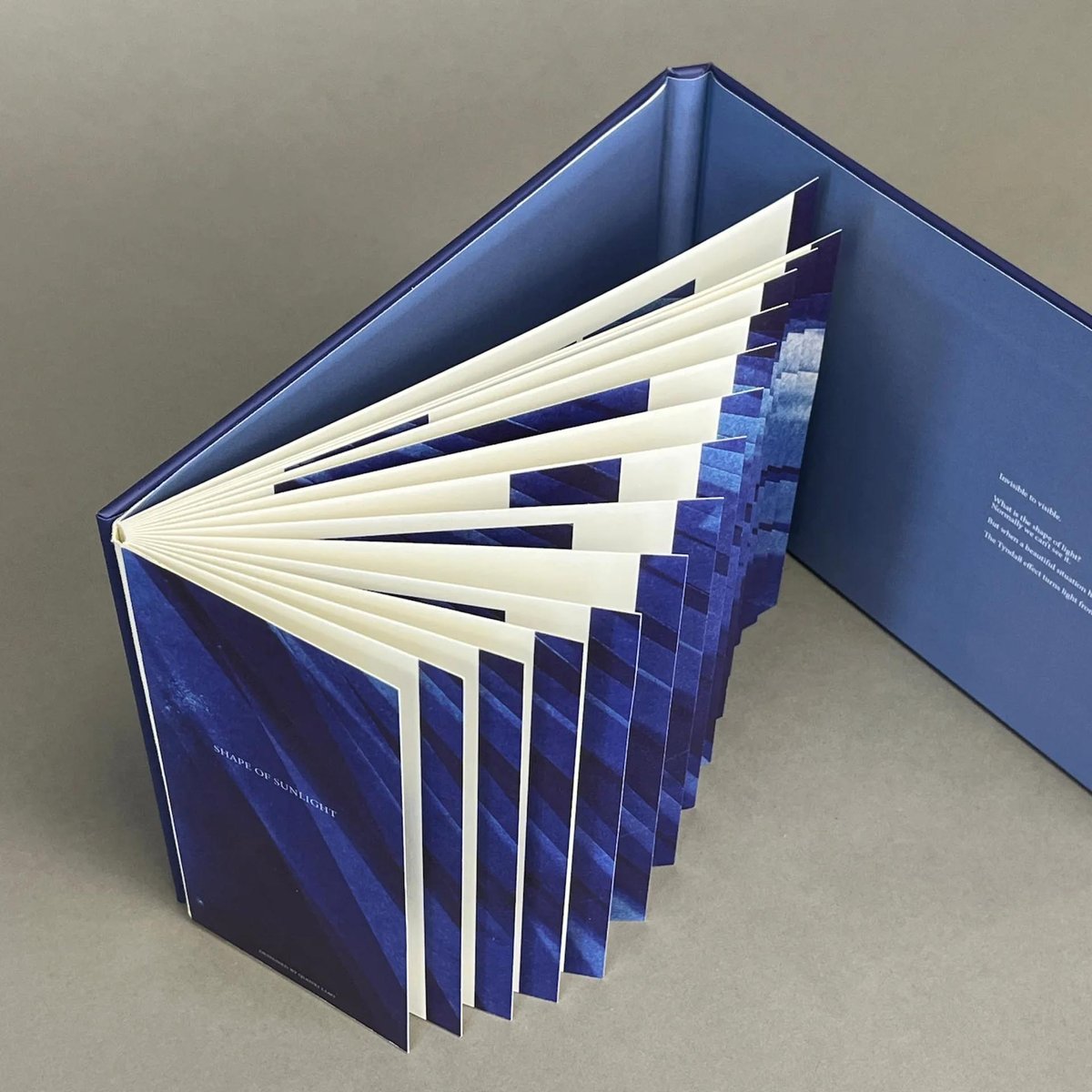 DISCIPLINE Qianxi Liao