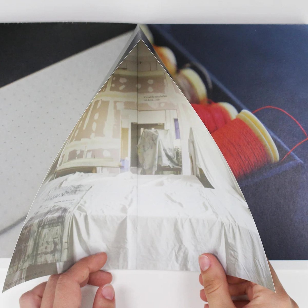 DISCIPLINE Milena Georgieva