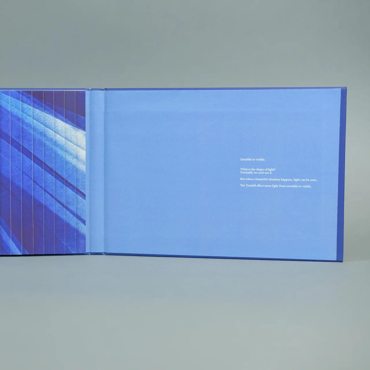 DISCIPLINE Qianxi Liao