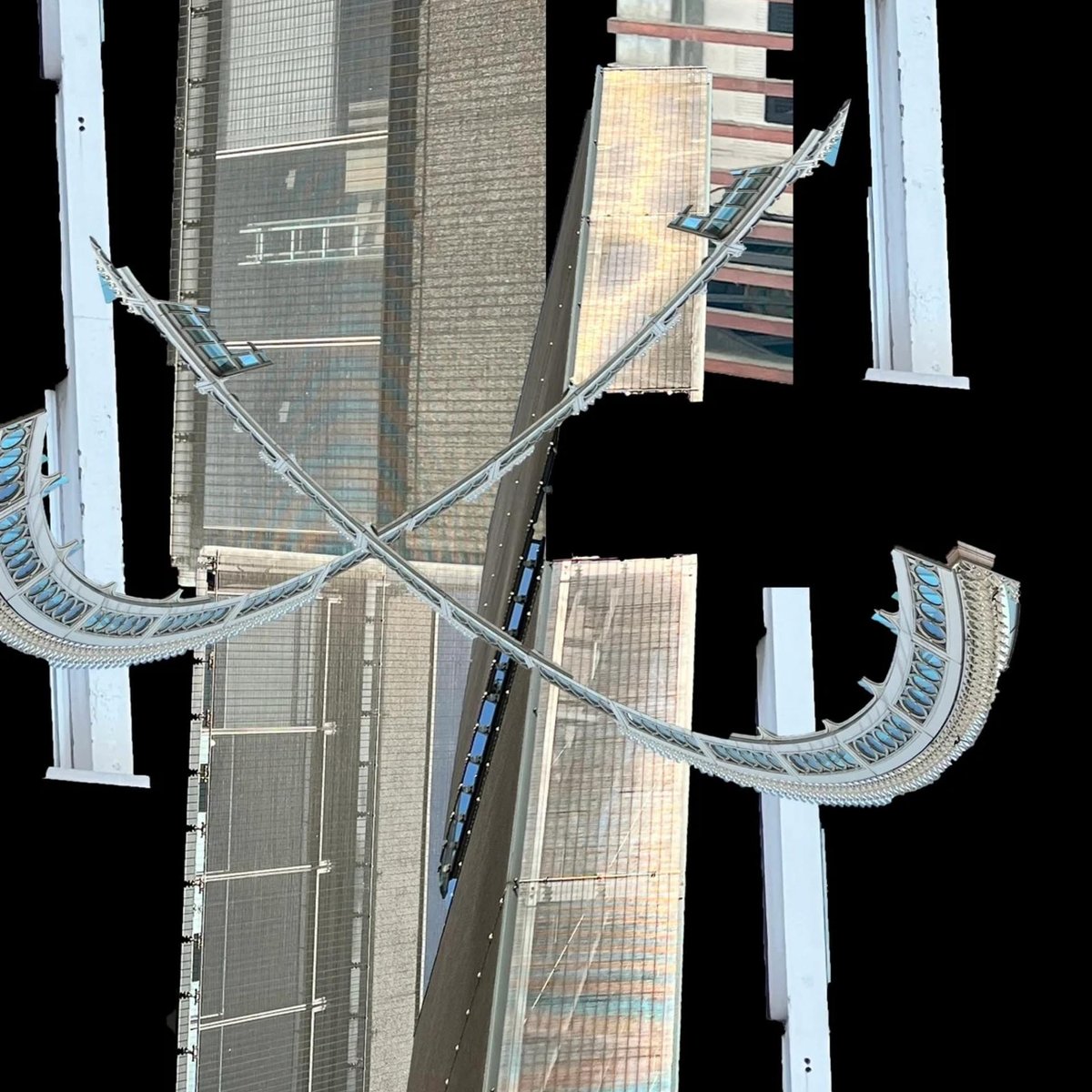 DISCIPLINE Mingyun Cao