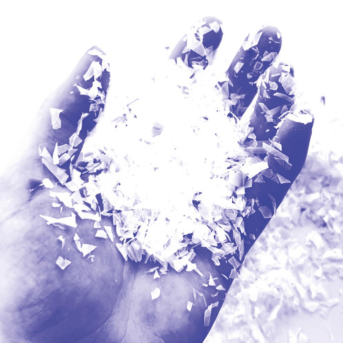 DISCIPLINE Caitríona McAllister