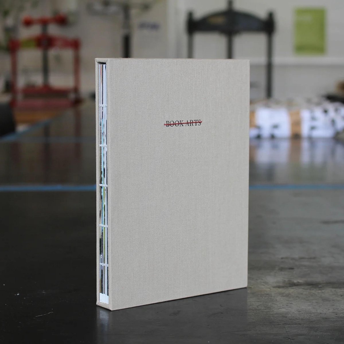 DISCIPLINE Milena Georgieva