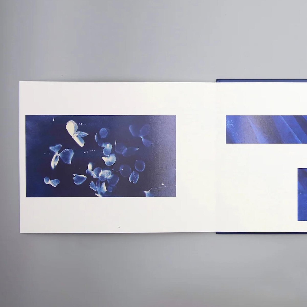 DISCIPLINE Qianxi Liao