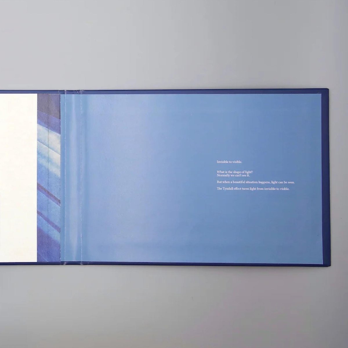 DISCIPLINE Qianxi Liao