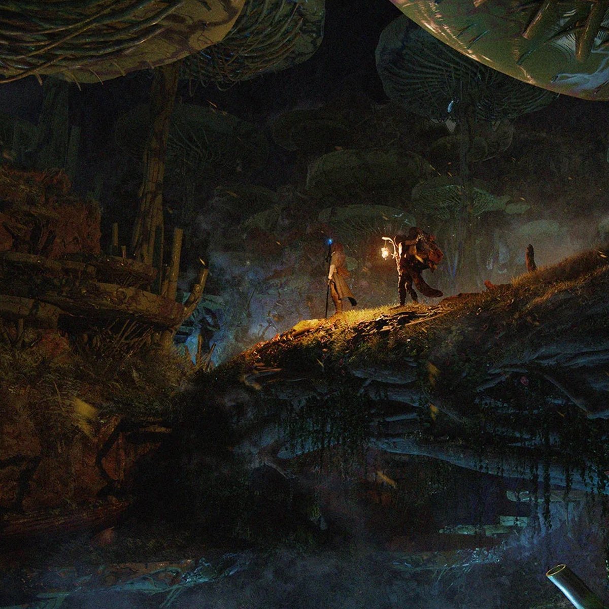 DISCIPLINE Mattia Lau