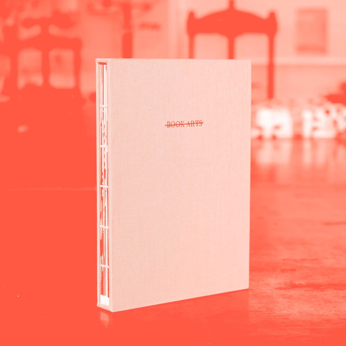 DISCIPLINE Milena Georgieva