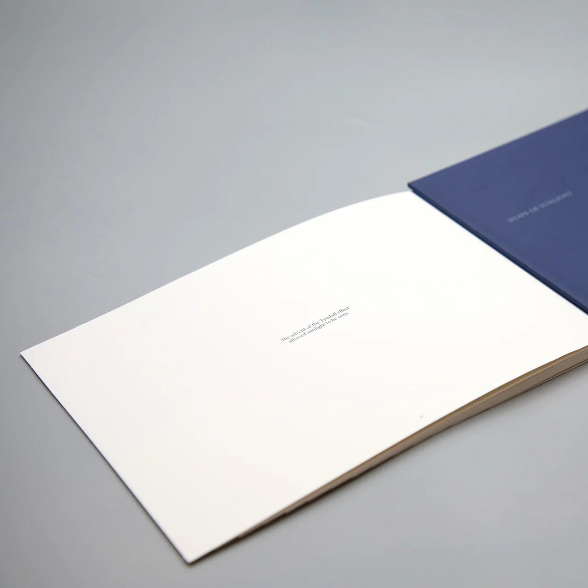 DISCIPLINE Qianxi Liao