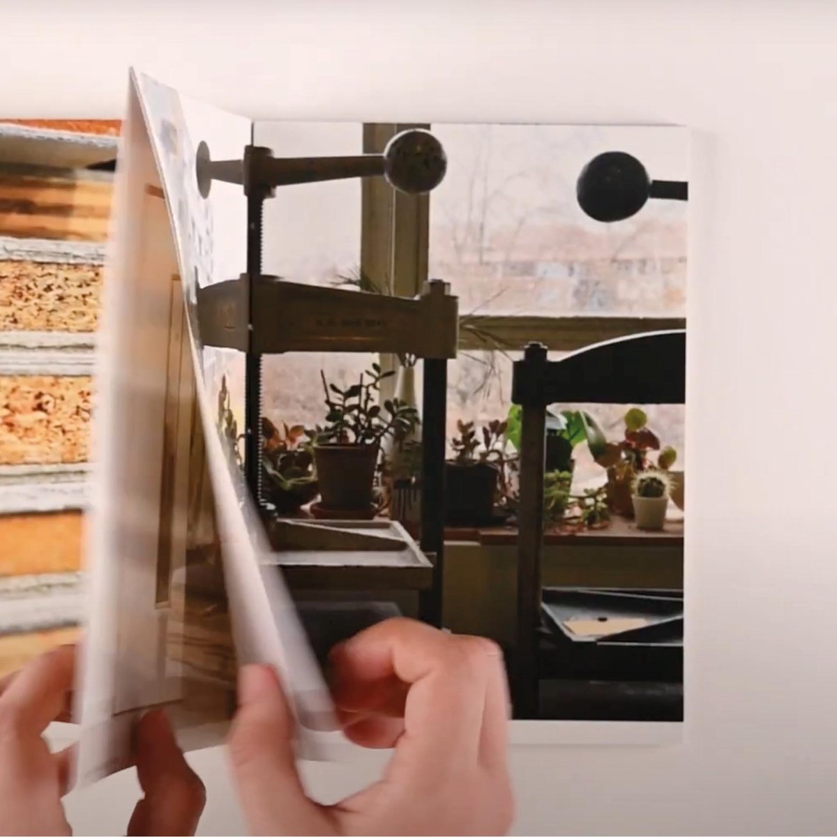 DISCIPLINE Milena Georgieva