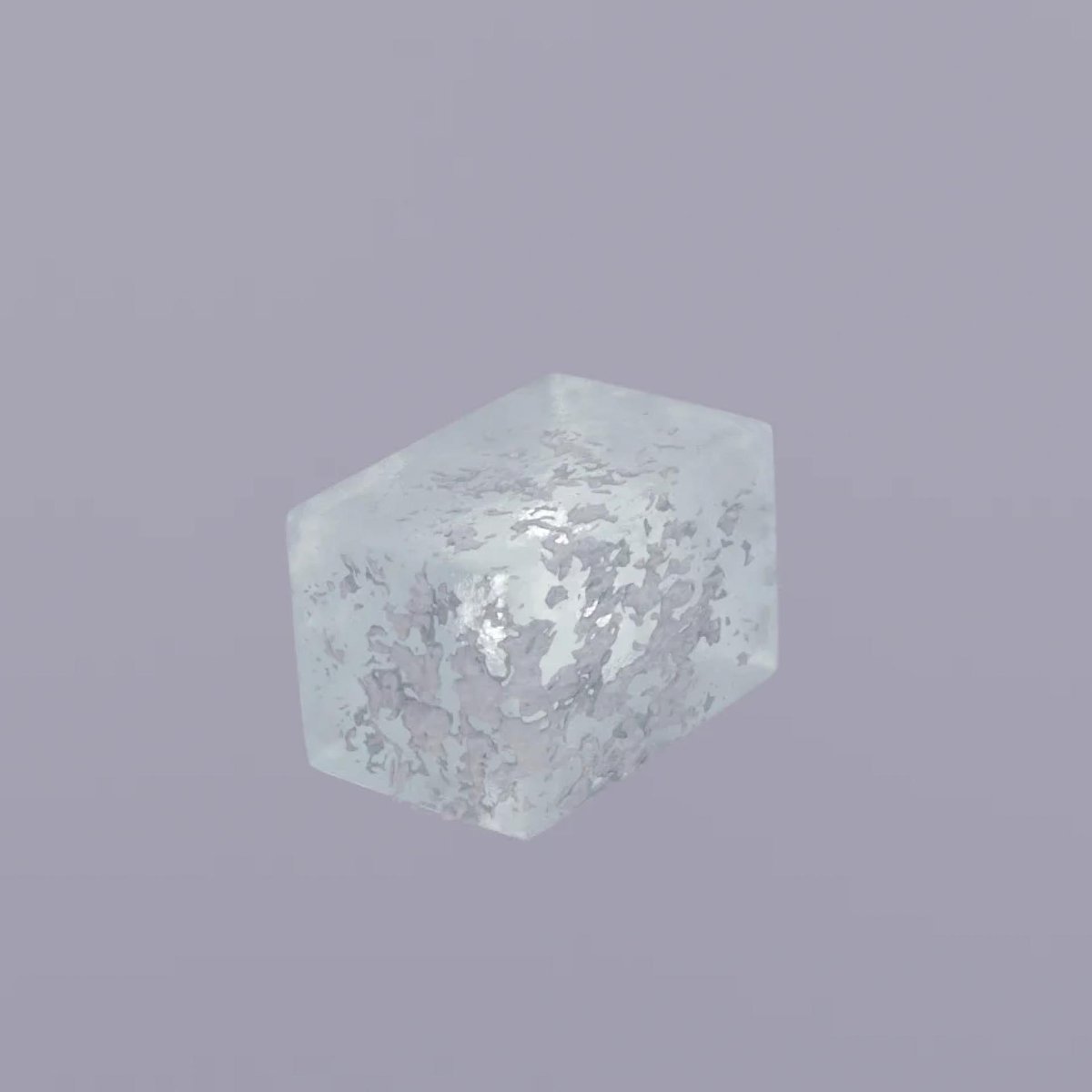 DISCIPLINE Ziru Zhao