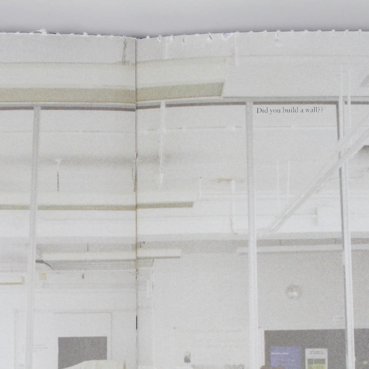 DISCIPLINE Milena Georgieva