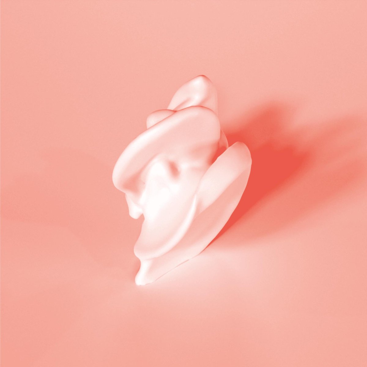 DISCIPLINE Filip Havlena