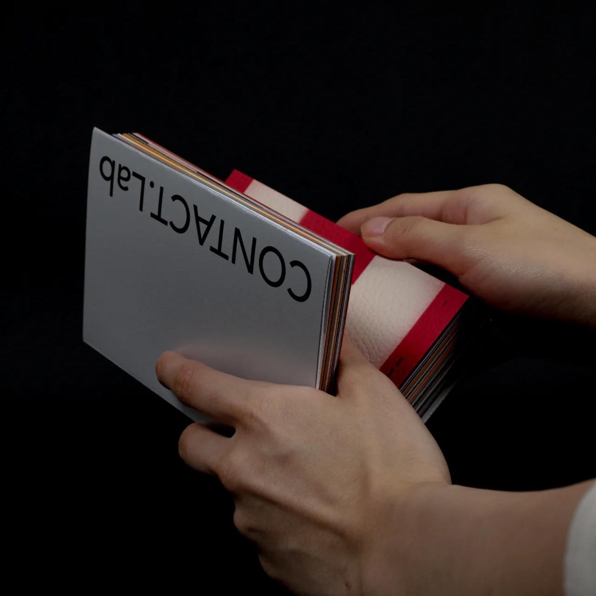 DISCIPLINE Fang Canyu