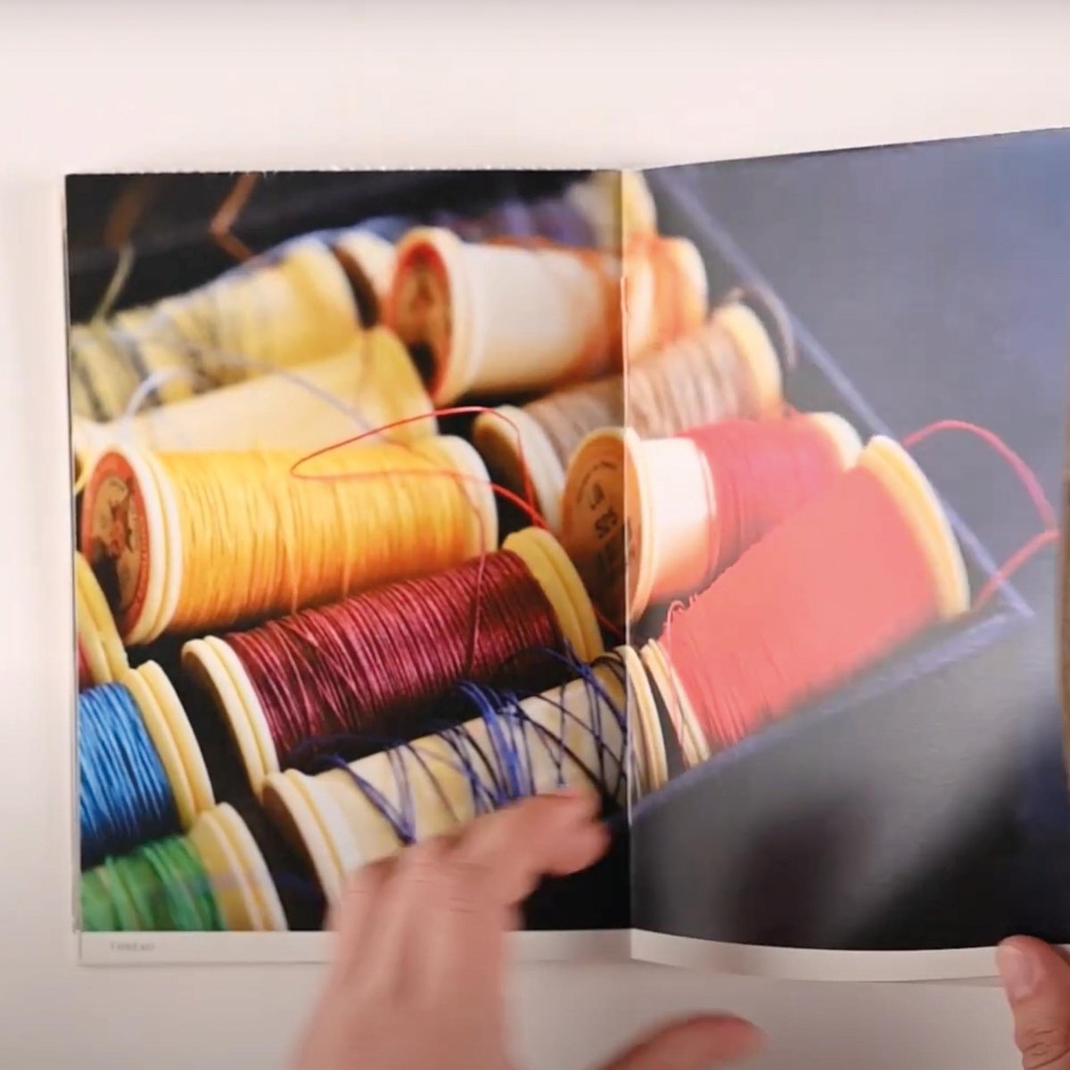 DISCIPLINE Milena Georgieva