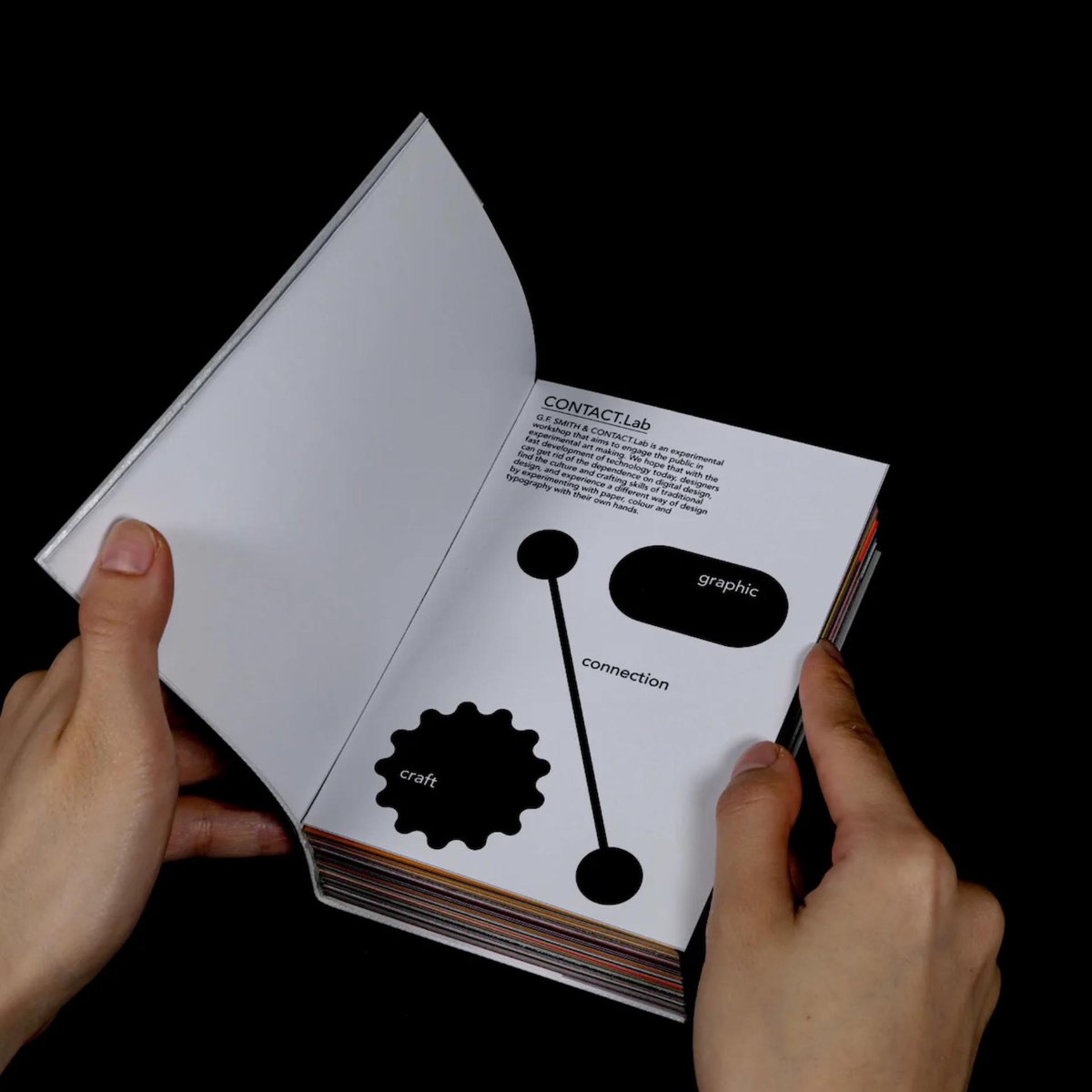 DISCIPLINE Fang Canyu