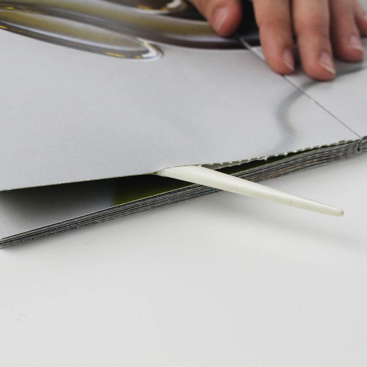 DISCIPLINE Milena Georgieva